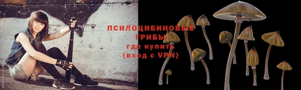 хмурый Нея