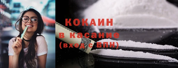 гидра Карпинск