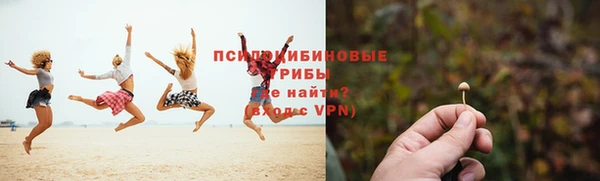 молекула духа Касимов