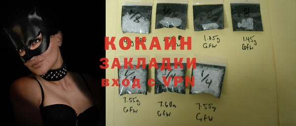 гидра Карпинск