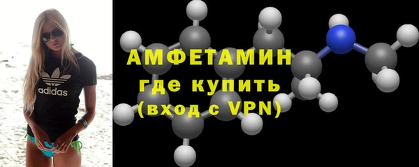 гидра Карпинск