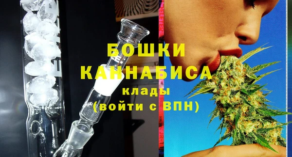 гидра Карпинск