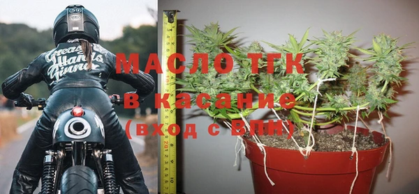 гидра Карпинск