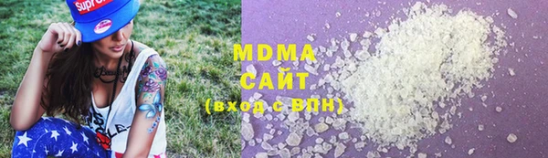 индика Новозыбков