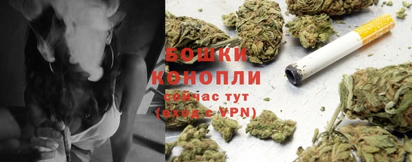 гидра Карпинск