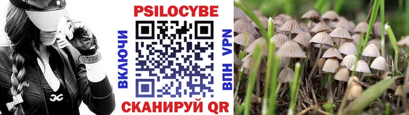 Псилоцибиновые грибы Psilocybine cubensis  купить закладку  Михайловка 